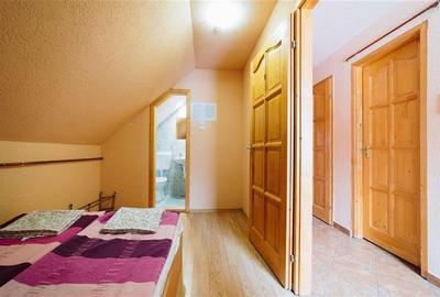 Pensiune si casa de oaspeti la pasul Bucin (Pensiunea Kamilla) - 29