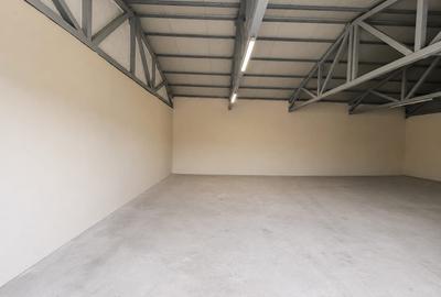Spațiu industrial, de 215.00 mp, în Ampoi 3
