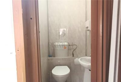 Spatiu comercial pentru depozit sau productie - Lipovei - 5