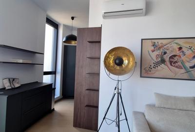 Locatie privilegiata: La ISHO cu 2 terase cu Vedere către Râul Bega - 9