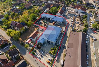 Vânzare Complex industrial  – 3.037 mp teren, 4 hale - 1400 mp Beiuș - 3