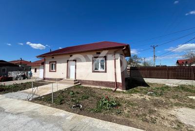 Casă individuală cu 2 camere în Broșteni (Vișina)