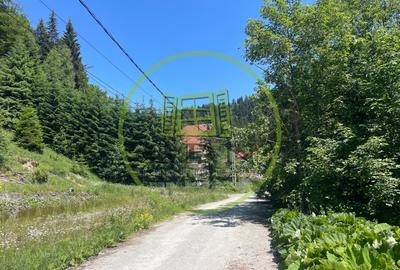 Teren Construcții intravilan de 1936 mp, în Clăbucet