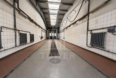 Hala industrială+spații administrative- Str. Tractorului - 13