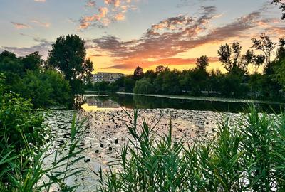 Casă nouă 2024 | 5 camere | Teren 400 mp | Chitila | Lângă lac și parc - 10