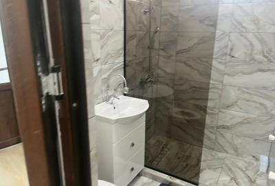 Vila Premium Ultra-Central Curte 500 mp.Bd Regina Maria - 11