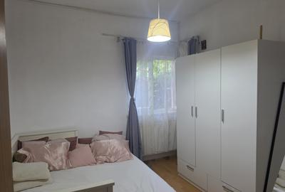 Vatra Luminoasa/Iancului vila de vanzare - 11