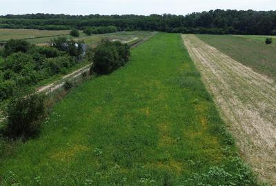 Snagov, Gruiu, Teren Intravilan 8,300 mp, Strada Tobosari - 8