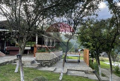 Pensiune - Domeniu montan - Casa si cabana 14 camere de vânzare - 22