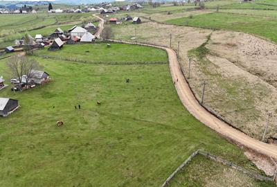 Teren de 4000mp (Parcelabil) Măguri Răcătău – Ideal Turism/Rezidential - 2