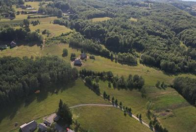 Exclusivitate | Teren de vanzare, 38.781 mp în Râșca - 15