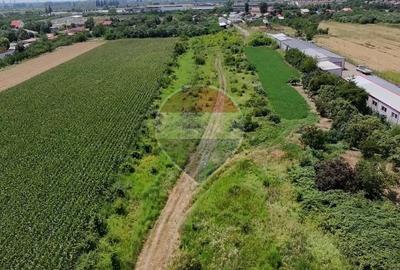 Teren Construcții intravilan de 5029 mp, în Mihai Bravu