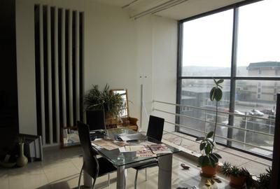 Showroom mobila-prod.+birouri  500 -1500 mp , Gh. Doja , pret 3.6 euro/ mp - 1