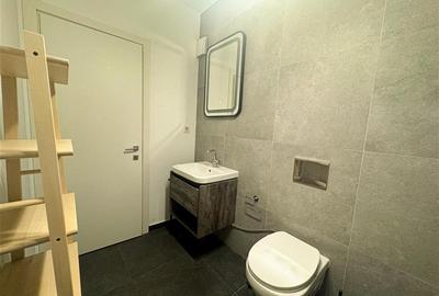Apartament 2 camere de inchiriat Herastrau Soseaua Nordului - 24