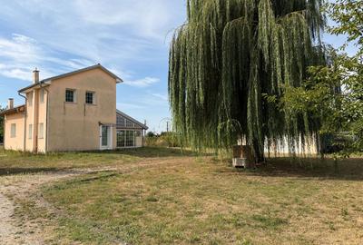 Casa cu teren 10.000mp si foarte multe posibilitati - 3