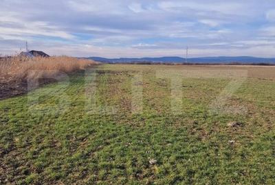 Teren Construcții intravilan de 8700 mp, în Nord-Est
