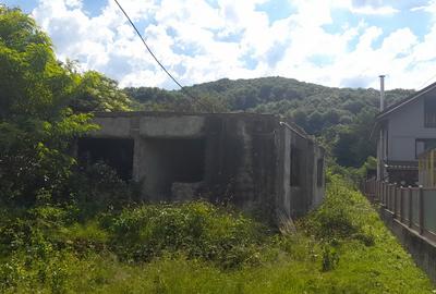 Casa demolabila in Runcu-Badeni - 7