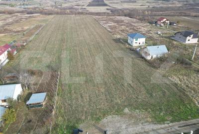 Teren Construcții intravilan de 5400 mp, în Ciurea