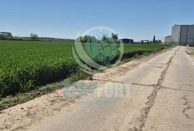 Teren intravilan- hale depozitare, industrie , servicii, comert- A 0 -  Afumați - 8