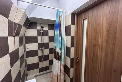Apartament 1 camera central de inchiriat - 7