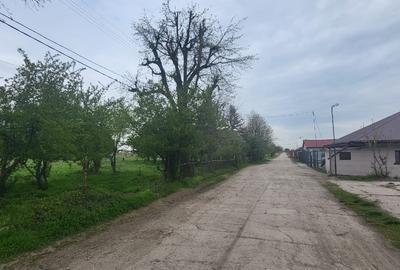 Teren Construcții intravilan de 25800 mp, în Ciorogârla