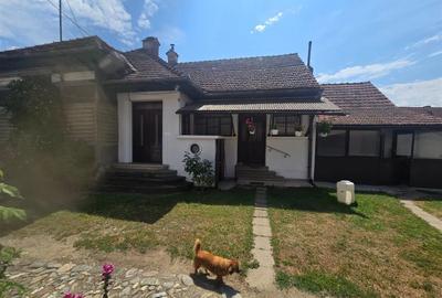 Gospodarie de vanzare in Voila - 10