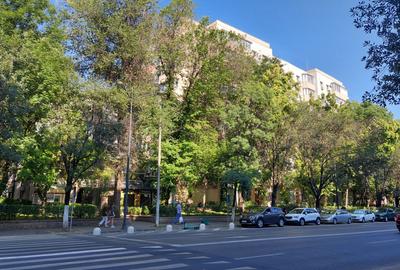 Renovat, Prima inchiriere, Tineretului, Metrou Timpuri Noi la 600m - 21