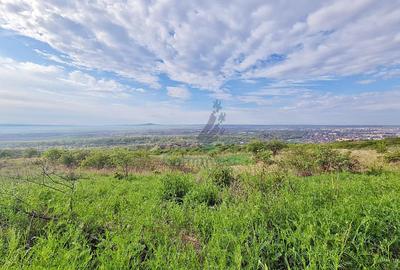 Teren Construcții intravilan de 12217 mp, în Podgoria