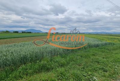 Teren intravilan Stupini front la Calea Feldioarei, DN 13 - 2