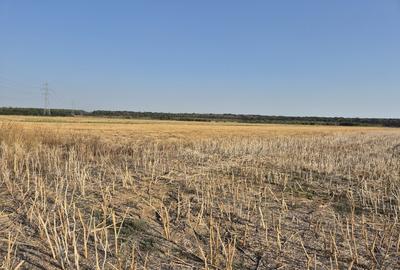 Teren intravilan cu vedere spre pădurea Scrovistea si doua deschideri - 2