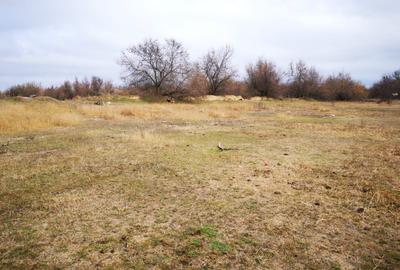 Vând teren agricol  2 ha cu deschidere la Dunăre - 6