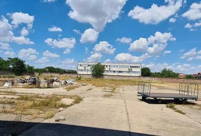 Hala Industriala de inchiriat Sannicolau Mic Arad - 5