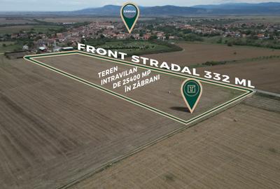 Teren intravilan de 25400 mp, în Zăbrani