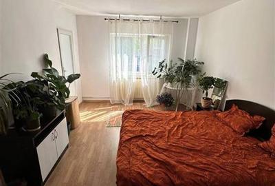 Apartament o camera decomandat, etajul 1 - Nicolina - 2