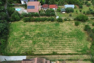 Vanzare teren 1000 mp, liniste si aer curat - 2