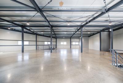 Spațiu comercial de închiriat – Dumbrăvița, acces direct din DNCT - 9