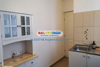 Drumul Taberei 34 apartament de inchiriat - 6