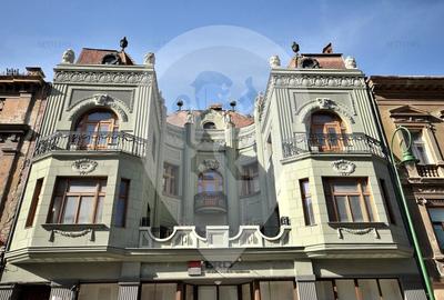 Casă individuală cu 7 camere în Centrul Istoric