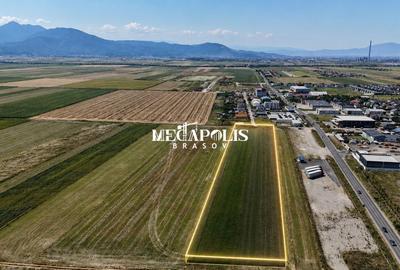 Teren agricol extravilan de 10900 mp, în Est