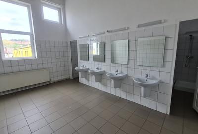 Spații de închiriat – Depozitare | Producție | Birouri Cisnadie - 11