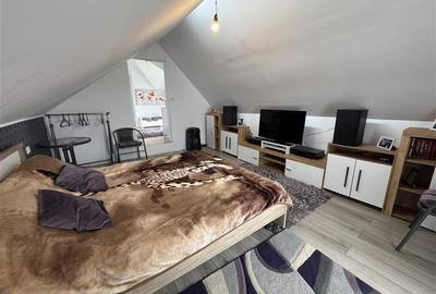 Casa de vanzare P+M cu teren 3300 mp, Hidiselu de sus - 7