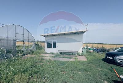 Teren agricol 16.750mp în Cârcea, imprejmuit, cultura capsuni, solarii - 11