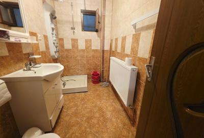 Vand casa singur in curte cu garaj, pod si foisor Sanpetru-Bod - 7