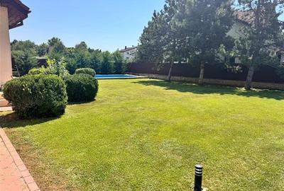 IANCU NICOLAE, S+P+1, 6 CAMERE, 410 MP, PISCINA, CURTE SUPERBA! - 28