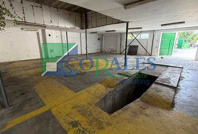Spatiu Versatil - multiple posibilitati. DISPONIBIL imediat. Locuri de parcare. - 3