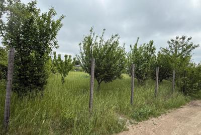 TEREN IN VALEA URSULUI, STR. PETALELOR 612 MP - 2