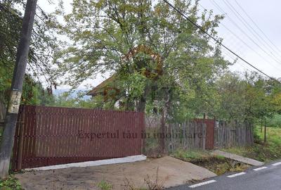 Casă individuală 2 camere de vânzare Băiculești Argeș Zona Rurală - 4