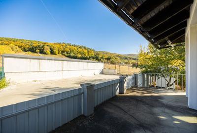 Casă 4 camere, garaj, foișor, grajd, 6000mp teren lângă padure - 36