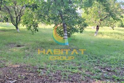 Vanzare casa noua individuala 230 mp Parcul Tineretului - 5