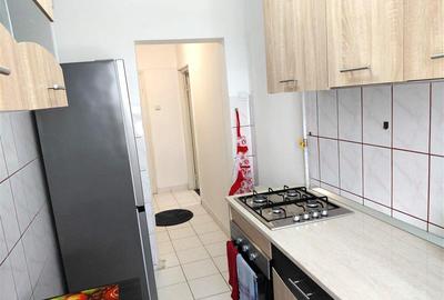 Baia Mare Vanzare Apartament 2 Camere renovat mobilat utilat - 9